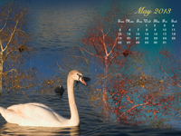 May Calendar