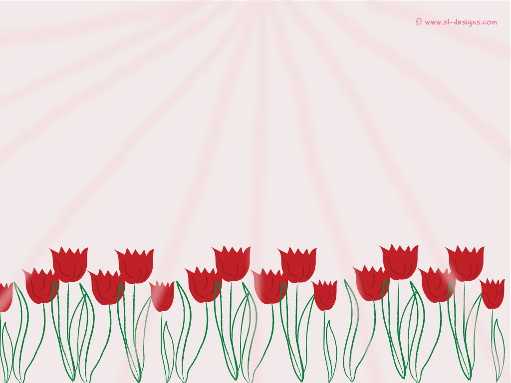 tulips wallpaper