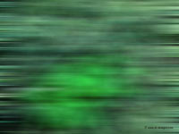 Abstract Green wallpaper