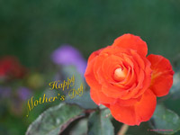 Mother's day wallpaper