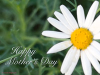 Mother's day wallpaper
