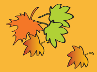 thanksgiving autumn  leaves background